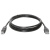 Кабель DEFENDER USB04-10 USB2.0 AM-BM, 3.0 м. (1/50/200)